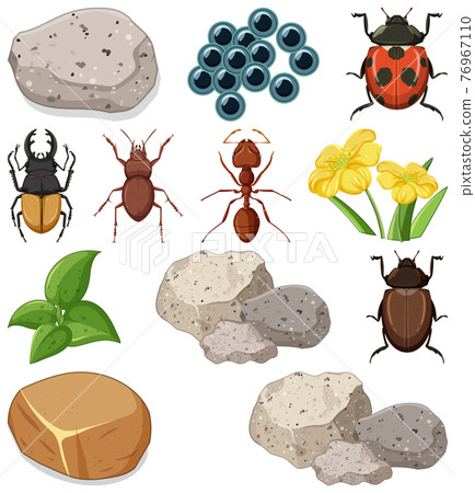 Different types of insect with nature elements Different types of insect with nature elements 76967110