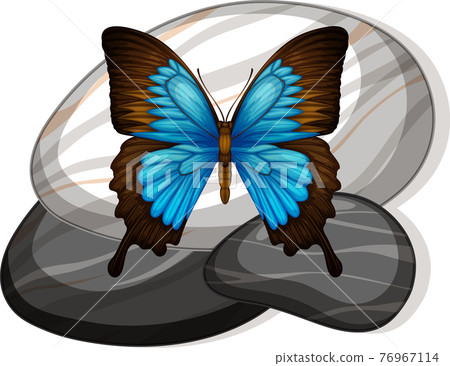 Top view of butterfly on a stone on white background 76967114