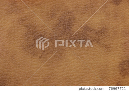 牛皮_皮革狀凹凸_淺棕色 76967721