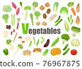 Vegetable vector illustration set 76967875