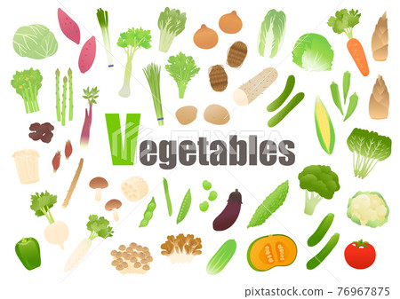 Vegetable vector illustration set Vegetable vector illustration set 76967875