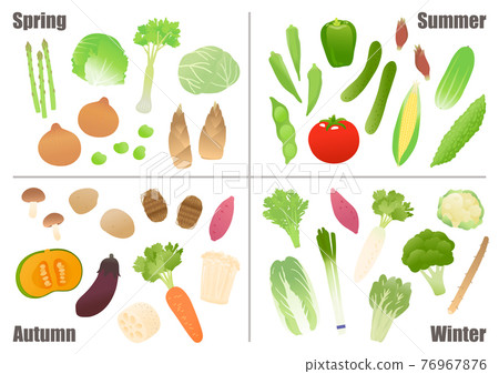 Vegetable vector illustration set Vegetable vector illustration set 76967876