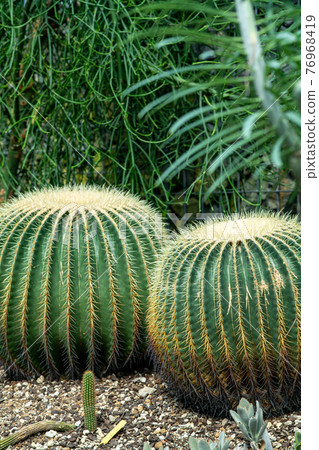 Round support 76968419