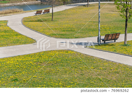 The intersection of paths in the Park among lawns filled with yellow blooming dandelions. The intersection of paths in the Park among lawns filled with yellow blooming dandelions. 76969262