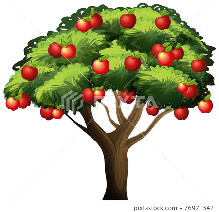 Apple tree isolated on white background - Stock Illustration [76971342 ...