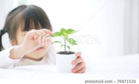 Girl looking at plants Environmental image Girl looking at plants Environmental image 76971529
