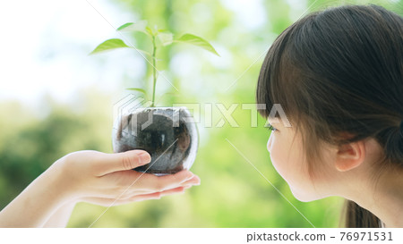 Girl looking at plants Environmental image Girl looking at plants Environmental image 76971531