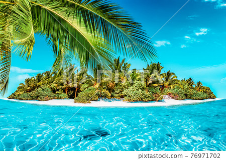 Whole tropical island within atoll in tropical Ocean. 76971702