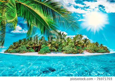 Whole tropical island within atoll in tropical Ocean on a summer day. Uninhabited and wild subtropical isle with palm trees. Equatorial part of the ocean, tropical island resort. 76971703