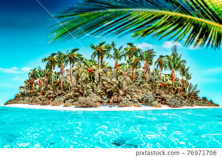 Whole tropical island within atoll in tropical Ocean. 76971706