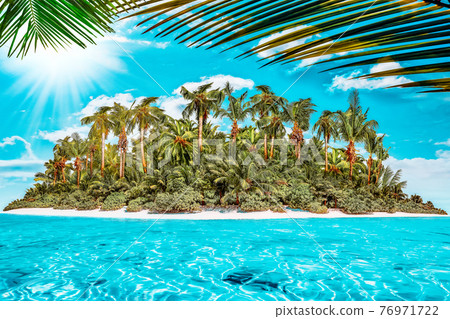 Whole tropical island within atoll in tropical Ocean on a summer day. Uninhabited and wild subtropical isle with palm trees. Equatorial part of the ocean, tropical island resort. 76971722