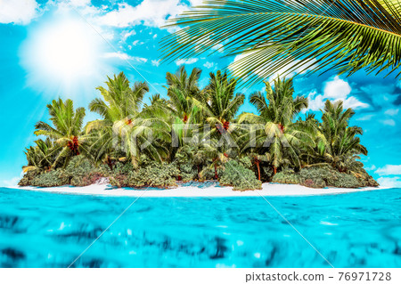 Whole tropical island within atoll in tropical Ocean on a summer day. Uninhabited and wild subtropical isle with palm trees. Equatorial part of the ocean, tropical island resort. Whole tropical island within atoll in tropical Ocean on a summer day. Uninhabited and wild subtropical isle with palm trees. Equatorial part of the ocean, tropical island resort. 76971728