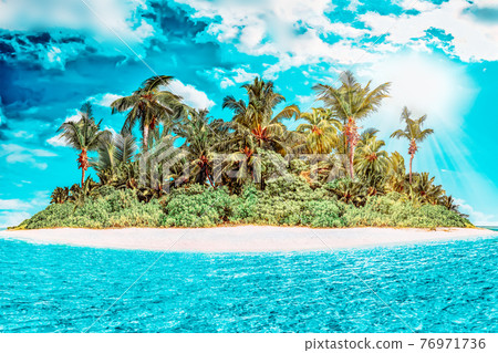 Whole tropical island within atoll in tropical Ocean on a summer day. Uninhabited and wild subtropical isle with palm trees. Equatorial part of the ocean, tropical island resort. 76971736