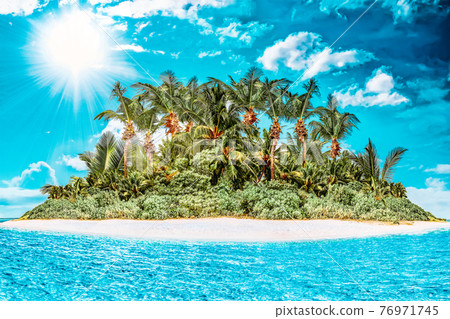 Whole tropical island within atoll in tropical Ocean on a summer day. Uninhabited and wild subtropical isle with palm trees. Equatorial part of the ocean, tropical island resort. 76971745
