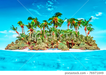Whole tropical island within atoll in tropical Ocean. 76971849