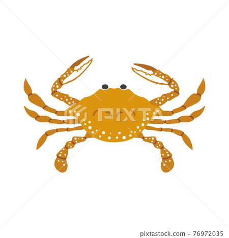 Illustration of gazami crab 76972035