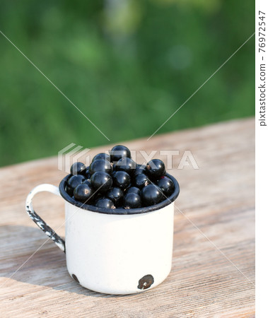 black currant berries in mug with currant leaf on light green natural background. 76972547