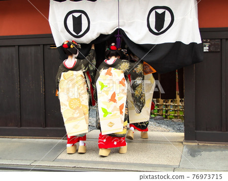 Maiko from Kyoto Maiko from Kyoto 76973715