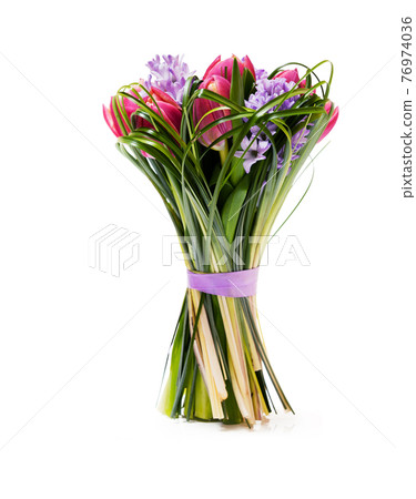 Beautiful red tulips iwith green grass and hyacinth isolated on white background Beautiful red tulips iwith green grass and hyacinth isolated on white background 76974036