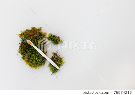 Wooden tooth brush flat lay on white background with green moss 76974216