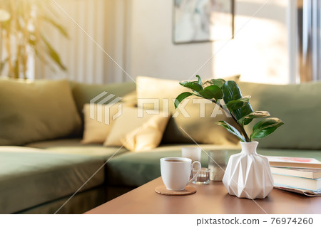 Relaxing time at comfort green interior loft house, vase with zamioculcas Relaxing time at comfort green interior loft house, vase with zamioculcas 76974260