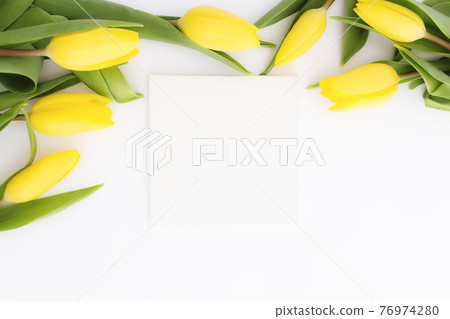 Yellow tulips flat lay on white background, empty picture frame, greeting card Yellow tulips flat lay on white background, empty picture frame, greeting card 76974280