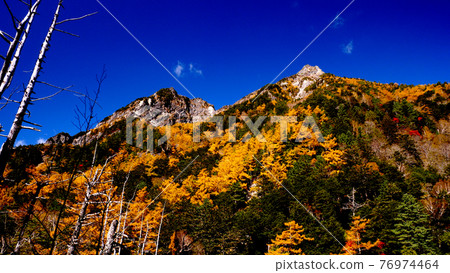 上高地明神山的紅葉 上高地明神山的紅葉 76974464