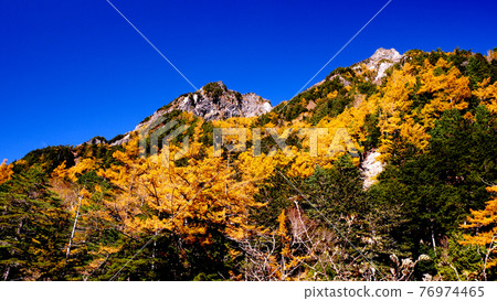 上高地明神山的紅葉 76974465