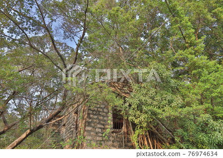 the ruins at Cattle Depot Artist Village park 27 March 2021 76974634