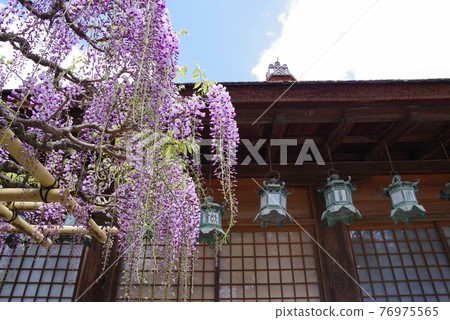 Kasuga Taisha Shrine, a cultural property of the ancient city of Nara 76975565