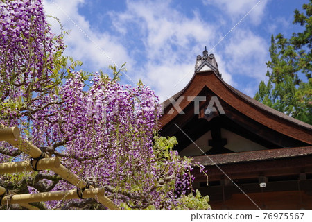 奈良古城的文化遺產春日大社 76975567