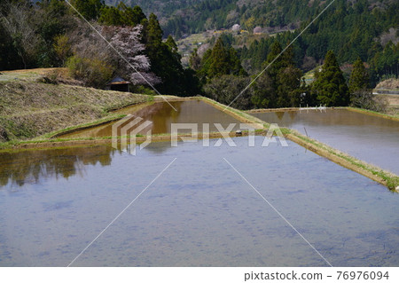 春稻田 春稻田 76976094