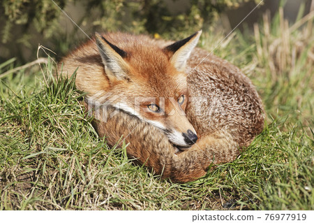 MOODBOARD STOCK PHOTOGRAPHY MOODBOARD STOCK PHOTOGRAPHY 76977919