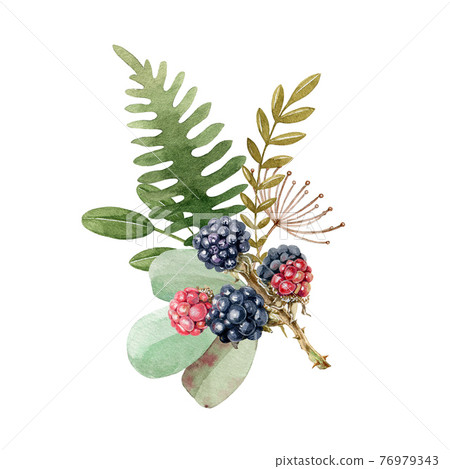 Floral natural autumn arrangement. Watercolor illustration. Woodland element. Hand drawn rustic forest decor from fern, berries, eucalyptus, green leaves. Seasonal decoration on white background Floral natural autumn arrangement. Watercolor illustration. Woodland element. Hand drawn rustic forest decor from fern, berries, eucalyptus, green leaves. Seasonal decoration on white background 76979343