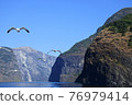 海鷗和峽灣巡遊 76979414