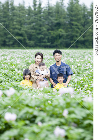 Farmer's family in a potato field 76979627