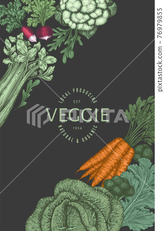 Hand drawn vintage color vegetables design. Organic fresh food vector banner template. Retro vegetable background. Traditional botanical illustrations on dark background. Hand drawn vintage color vegetables design. Organic fresh food vector banner template. Retro vegetable background. Traditional botanical illustrations on dark background. 76979855