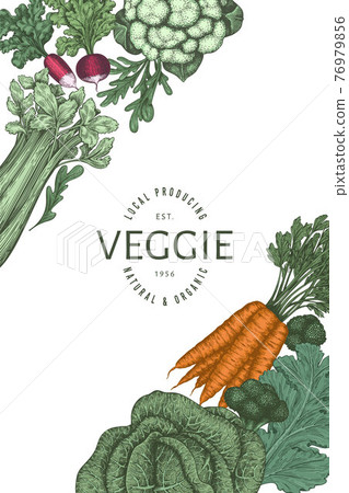 Hand drawn vintage color vegetables design. Organic fresh food vector banner template. Retro vegetable background. Traditional botanical illustrations. Hand drawn vintage color vegetables design. Organic fresh food vector banner template. Retro vegetable background. Traditional botanical illustrations. 76979856
