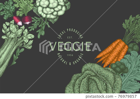 Hand drawn vintage color vegetables design. Organic fresh food vector banner template. Retro vegetable background. Traditional botanical illustrations on dark background. Hand drawn vintage color vegetables design. Organic fresh food vector banner template. Retro vegetable background. Traditional botanical illustrations on dark background. 76979857