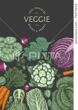 Hand drawn vintage color vegetables design. Organic fresh food vector banner template. Retro vegetable background. Traditional botanical illustrations on dark background. Hand drawn vintage color vegetables design. Organic fresh food vector banner template. Retro vegetable background. Traditional botanical illustrations on dark background. 76979859