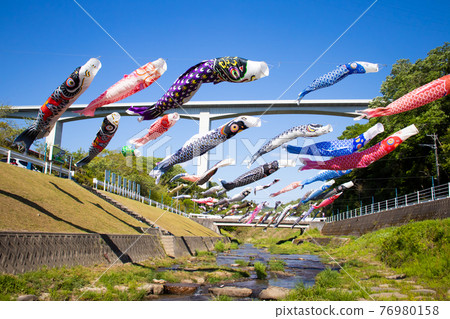 Aoki River carp streamer 76980158