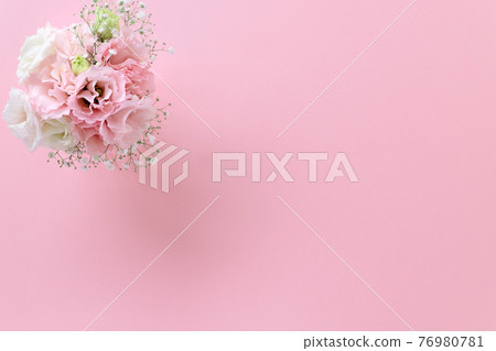 Pink Turkish bellflower Pink background Mother's Day Father's Day Pink Turkish bellflower Pink background Mother's Day Father's Day 76980781