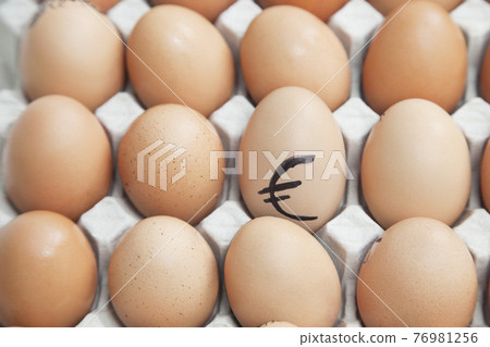 MOODBOARD STOCK PHOTOGRAPHY MOODBOARD STOCK PHOTOGRAPHY 76981256