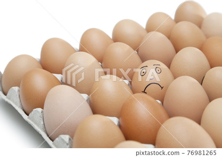 MOODBOARD STOCK PHOTOGRAPHY MOODBOARD STOCK PHOTOGRAPHY 76981265