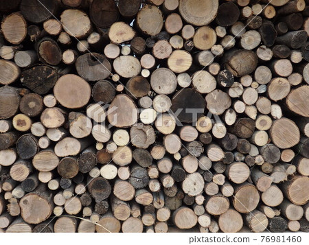 Firewood firewood Firewood firewood 76981460