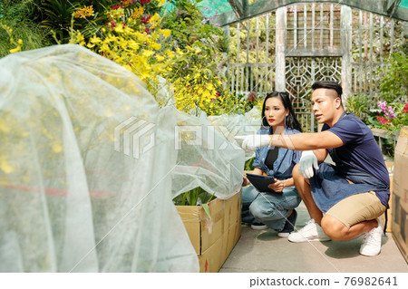 Greenhouse workers unpacking flowers 76982641