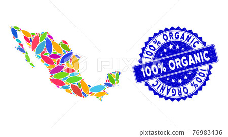 Scratched 100 percent Organic Badge and Mexican Map Colorful Pattern of Coca Leaf Items 76983436