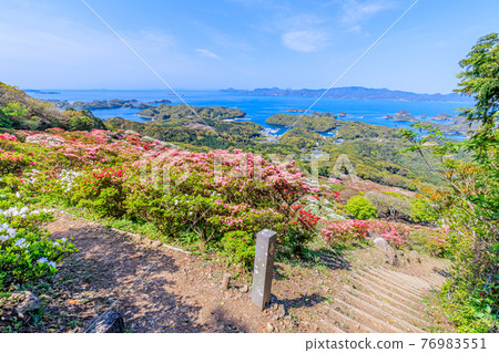長崎縣佐世保市西海國立長串山公園杜鵑花 76983551