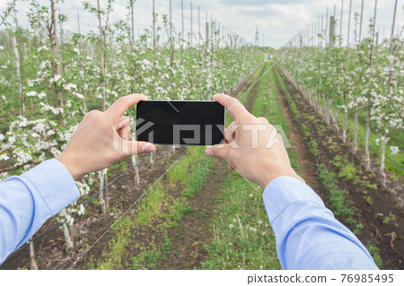 Online gardening, smart control on farm during spring bloom 76985495