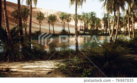 Oasis in hot Sahara Desert 76987835